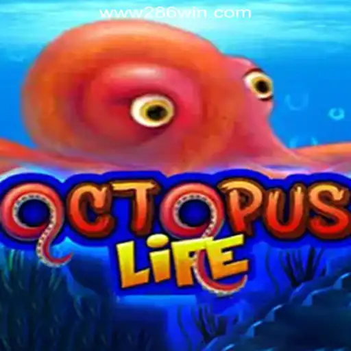 Explore the Thrilling World of OctopusLife and 286win.COM Oficial Slots Brasil #1